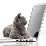 Data Quality Do’s and Don’ts – Part 5: Herding CRM Users or “Cats” blog post