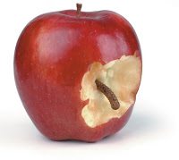 An Apple A Day Keeps CRM Failure Away Part 2 – A Bad Apple Blog Post