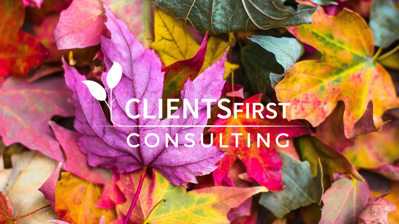 10 Ways To Refresh Your CRM System This Fall