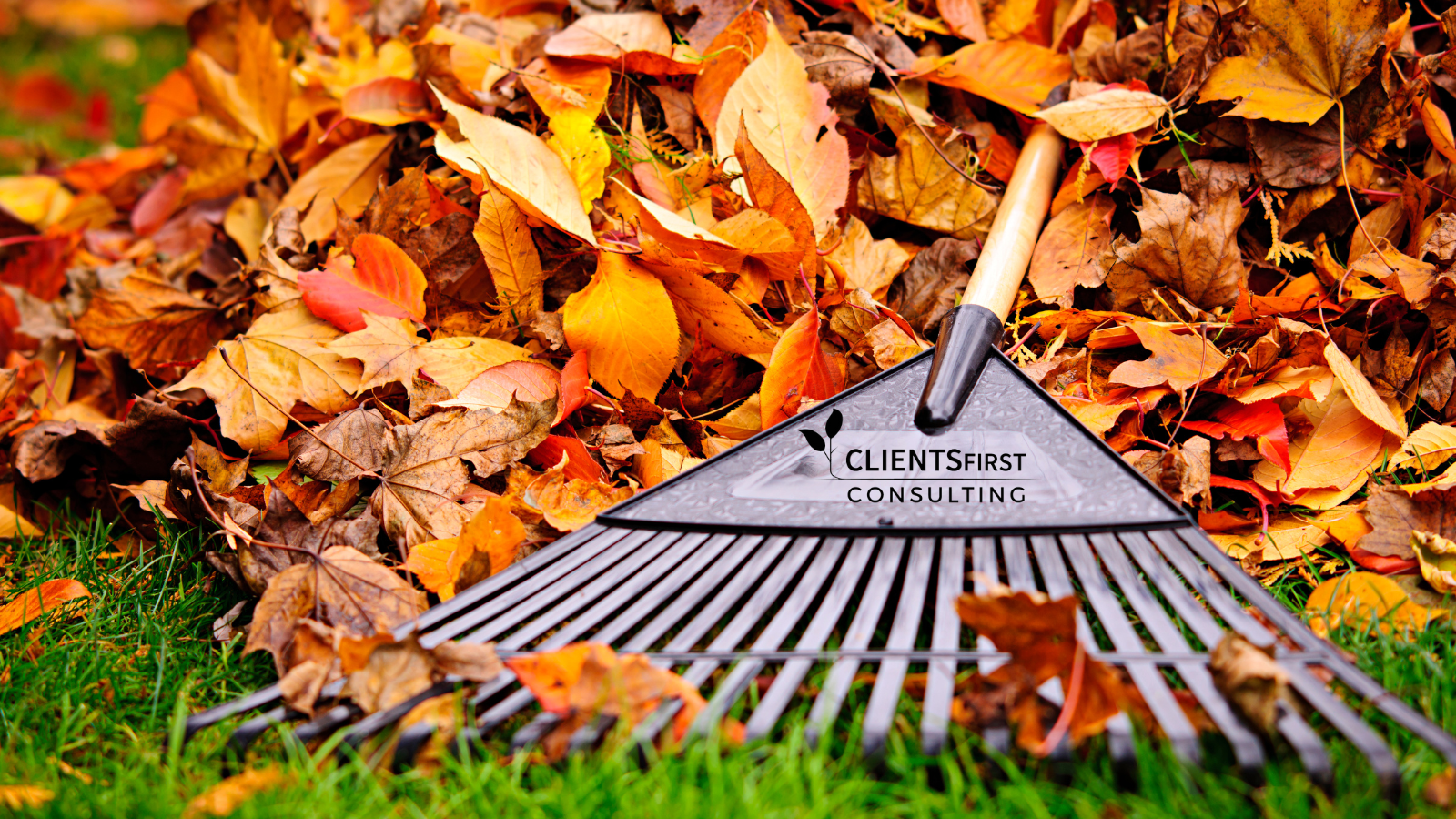 Five Data Cleaning Tricks For A Productive Fall Season
