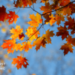 How to Refocus on CRM and Data Quality in Your Marketing Efforts This Fall