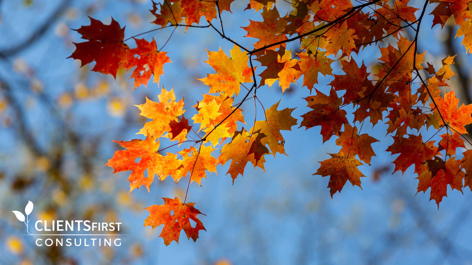 How To Refocus On CRM And Data Quality In Your Marketing Efforts This Fall