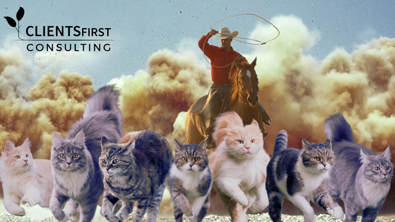 Herding Cats: Five Ways to Increase CRM Adoption - CLIENTSFirst  Consulting.com