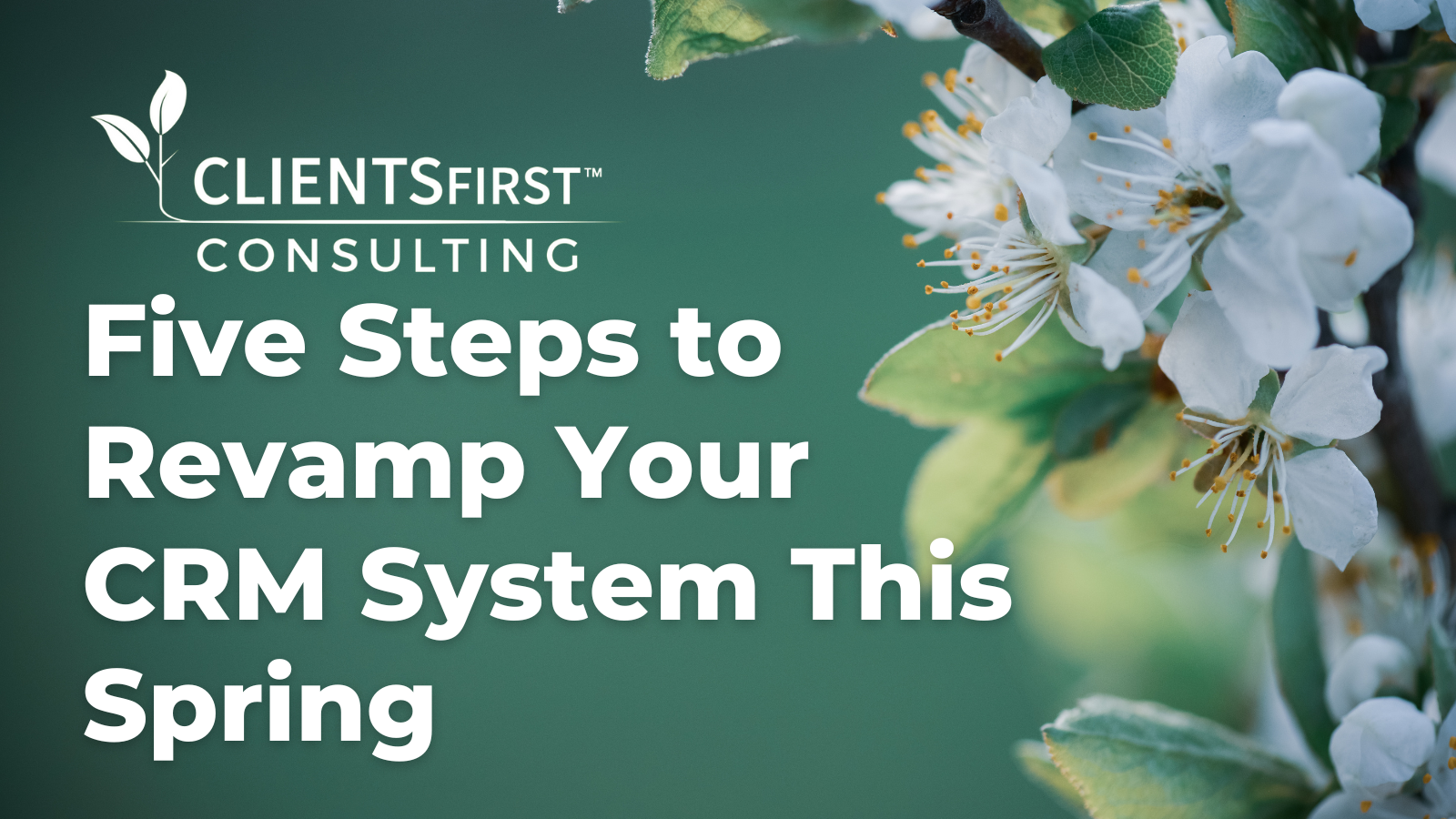A gree background with white spring flowers on the right side with the title "Five Steps to Revamp Your CRM System This Spring" on the right