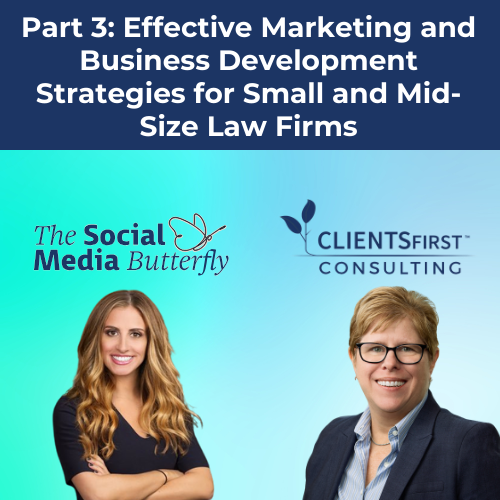Effective Marketing Strategies for Small and Mid-Size Firms Part 3