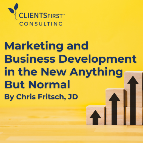 Marketing and Business Development in the New Anything But Normal