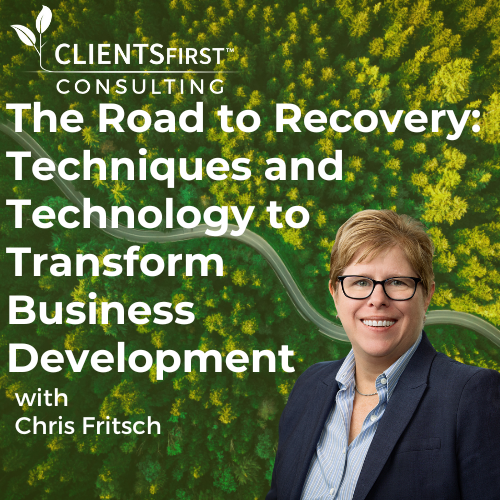 The Road to Recovery Techniques and Technology to Transform Business Development